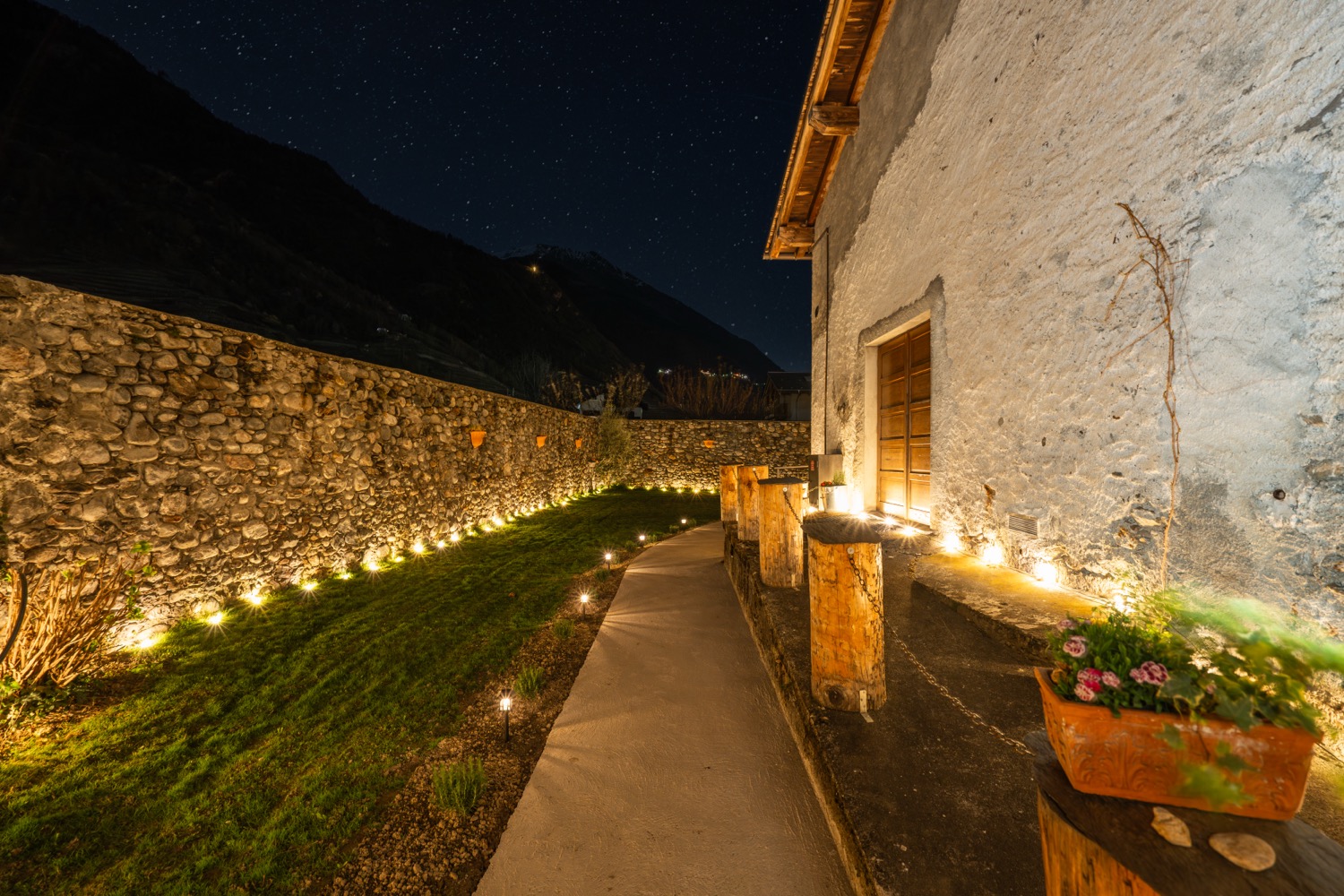 Grassland at night